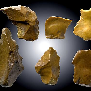 Werkzeuge des Homo heidelbergensis, Reiss-Engelhorn-Museen Mannheim