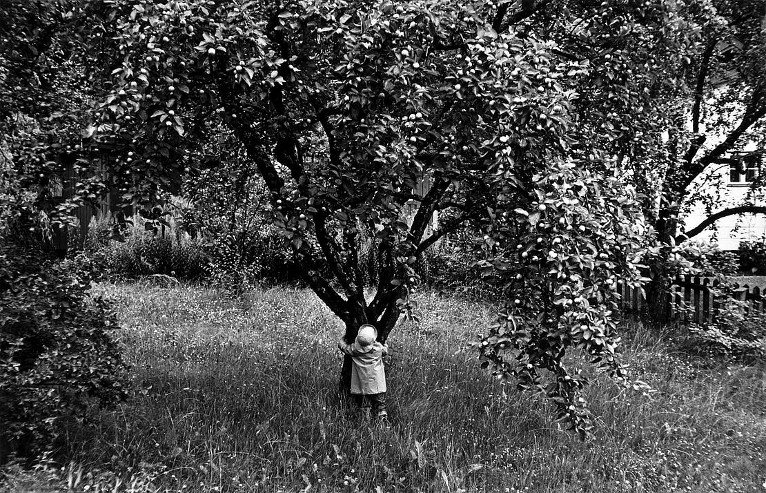 Ein kleines Mädchen umarmt einen Apfelbaum.