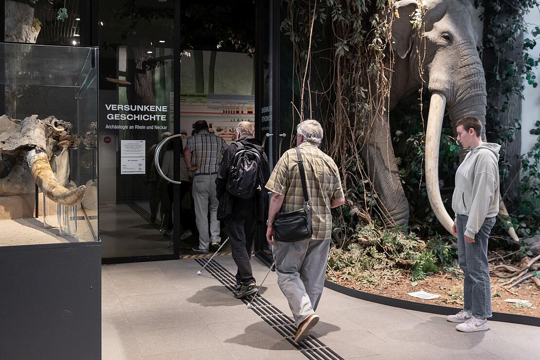 Mehrere Personen mit Gehstock folgen einem Blindenleitsystem auf dem Boden durch eine tür, rchts im Hintergrund die Rekonstruktion eines Waldelefanten