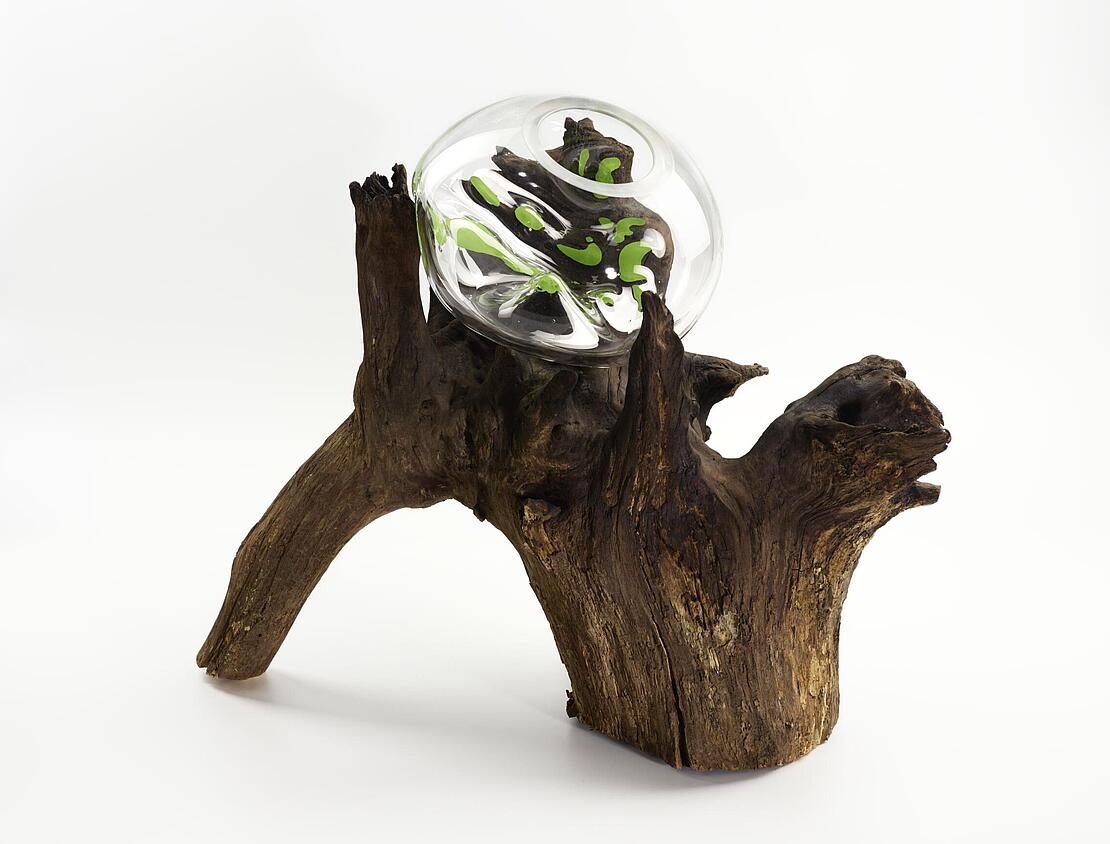 Kugelförmiges Glaskunstwerk auf Baumstumpf