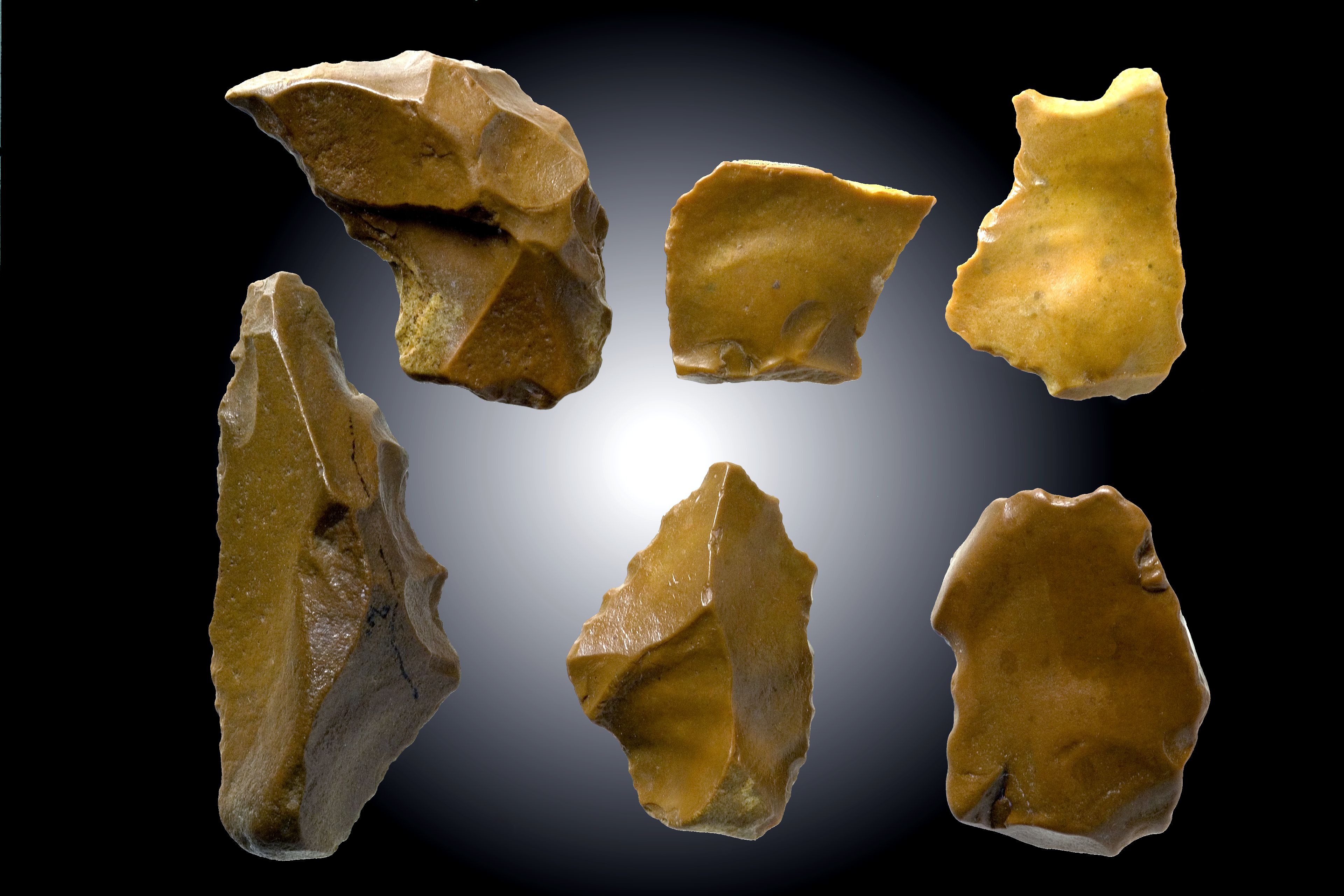 Werkzeuge des Homo heidelbergensis, Reiss-Engelhorn-Museen, Mannheim